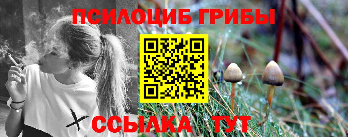 Псилоцибиновые грибы MAGIC MUSHROOMS  Вход с VPN  хочу наркоту  Владивосток 